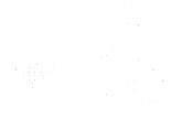 基本信息